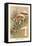 Agaricus Campestris-William Hamilton Gibson-Framed Stretched Canvas