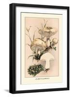 Agaricus Gambosus-William Hamilton Gibson-Framed Art Print