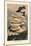 Agaricus Ostreatus-William Hamilton Gibson-Mounted Art Print