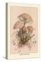 Agaricus Procerus-William Hamilton Gibson-Stretched Canvas