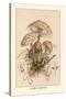 Agaricus Procerus-William Hamilton Gibson-Stretched Canvas