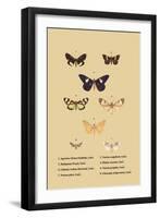 Agarista a Emorrhoidalis, Guer-null-Framed Art Print