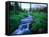 Agassiz Peak in the Distance, Stillwater Fork of Bear River Drainage, High Uintas Wilderness, Utah-Scott T^ Smith-Framed Stretched Canvas