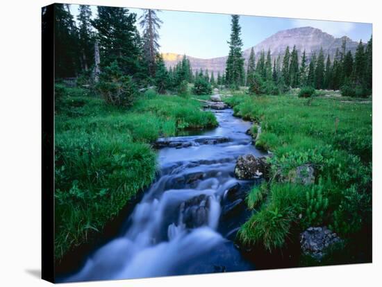 Agassiz Peak in the Distance, Stillwater Fork of Bear River Drainage, High Uintas Wilderness, Utah-Scott T^ Smith-Stretched Canvas