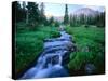 Agassiz Peak in the Distance, Stillwater Fork of Bear River Drainage, High Uintas Wilderness, Utah-Scott T^ Smith-Stretched Canvas