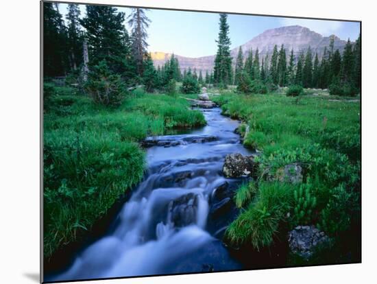 Agassiz Peak in the Distance, Stillwater Fork of Bear River Drainage, High Uintas Wilderness, Utah-Scott T^ Smith-Mounted Photographic Print