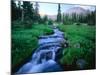 Agassiz Peak in the Distance, Stillwater Fork of Bear River Drainage, High Uintas Wilderness, Utah-Scott T^ Smith-Mounted Photographic Print