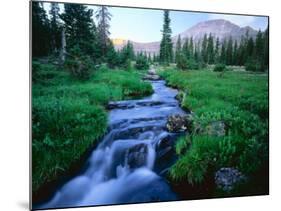 Agassiz Peak in the Distance, Stillwater Fork of Bear River Drainage, High Uintas Wilderness, Utah-Scott T^ Smith-Mounted Photographic Print