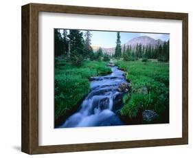 Agassiz Peak in the Distance, Stillwater Fork of Bear River Drainage, High Uintas Wilderness, Utah-Scott T^ Smith-Framed Photographic Print