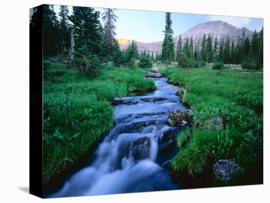 Agassiz Peak in the Distance, Stillwater Fork of Bear River Drainage, High Uintas Wilderness, Utah-Scott T^ Smith-Stretched Canvas