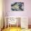 Agata - Palermo-Mark Chandon-Giclee Print displayed on a wall