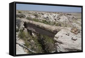 Agate Bridge, a Petrified Log Spanning Ravine, Petrified Forest National Park-Richard Maschmeyer-Framed Stretched Canvas