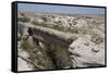 Agate Bridge, a Petrified Log Spanning Ravine, Petrified Forest National Park-Richard Maschmeyer-Framed Stretched Canvas