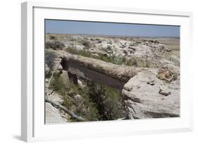 Agate Bridge, a Petrified Log Spanning Ravine, Petrified Forest National Park-Richard Maschmeyer-Framed Photographic Print