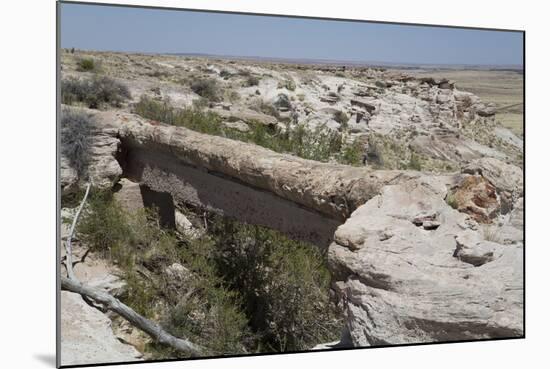 Agate Bridge, a Petrified Log Spanning Ravine, Petrified Forest National Park-Richard Maschmeyer-Mounted Photographic Print