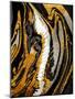Agate Crystal. Golden Swirl, Artistic Design. the Revival of Oriental Ancie-CARACOLLA-Mounted Photographic Print