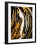 Agate Crystal. Golden Swirl, Artistic Design. the Revival of Oriental Ancie-CARACOLLA-Framed Photographic Print