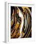 Agate Crystal. Golden Swirl, Artistic Design. the Revival of Oriental Ancie-CARACOLLA-Framed Photographic Print