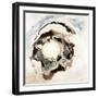 Agate Dazzle I-Jason Jarava-Framed Giclee Print