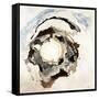 Agate Dazzle I-Jason Jarava-Framed Stretched Canvas