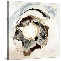 Agate Dazzle I-Jason Jarava-Stretched Canvas