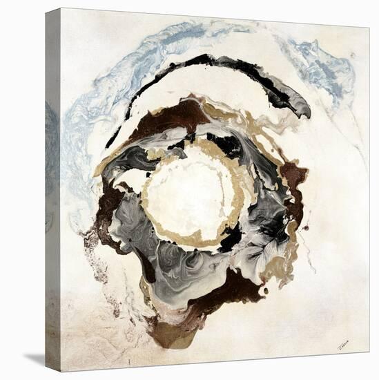 Agate Dazzle I-Jason Jarava-Stretched Canvas