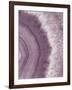 Agate Geode II Plum-Wild Apple Portfolio-Framed Art Print