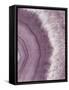 Agate Geode II Plum-Wild Apple Portfolio-Framed Stretched Canvas