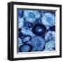 Agate in Blue I-Danielle Carson-Framed Giclee Print