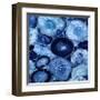 Agate in Blue I-Danielle Carson-Framed Giclee Print