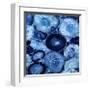 Agate in Blue I-Danielle Carson-Framed Giclee Print