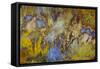 Agate in Colorful Design, Sammamish, WA-Darrell Gulin-Framed Stretched Canvas
