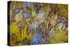 Agate in Colorful Design, Sammamish, WA-Darrell Gulin-Stretched Canvas