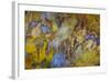 Agate in Colorful Design, Sammamish, WA-Darrell Gulin-Framed Photographic Print