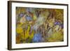 Agate in Colorful Design, Sammamish, WA-Darrell Gulin-Framed Photographic Print