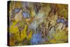 Agate in Colorful Design, Sammamish, WA-Darrell Gulin-Stretched Canvas