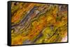 Agate in Colorful Design, Sammamish, WA-Darrell Gulin-Framed Stretched Canvas