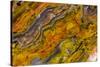 Agate in Colorful Design, Sammamish, WA-Darrell Gulin-Stretched Canvas