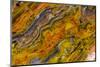 Agate in Colorful Design, Sammamish, WA-Darrell Gulin-Mounted Photographic Print