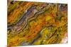 Agate in Colorful Design, Sammamish, WA-Darrell Gulin-Mounted Photographic Print