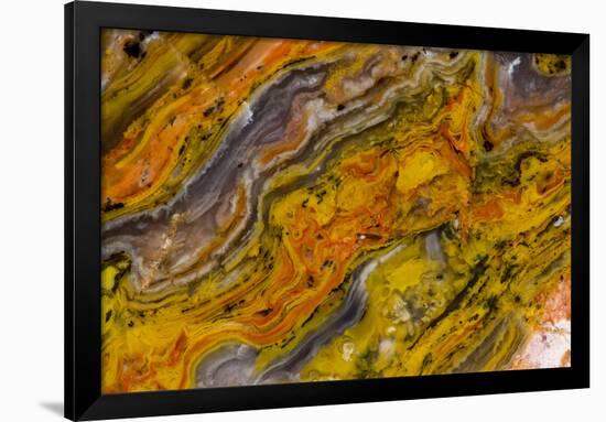 Agate in Colorful Design, Sammamish, WA-Darrell Gulin-Framed Photographic Print