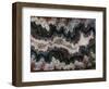 Agate in Colorful Design, Sammamish, WA-Darrell Gulin-Framed Photographic Print