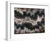 Agate in Colorful Design, Sammamish, WA-Darrell Gulin-Framed Photographic Print