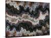 Agate in Colorful Design, Sammamish, WA-Darrell Gulin-Stretched Canvas