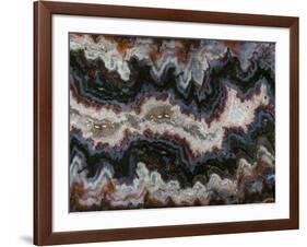 Agate in Colorful Design, Sammamish, WA-Darrell Gulin-Framed Photographic Print