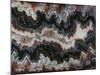 Agate in Colorful Design, Sammamish, WA-Darrell Gulin-Mounted Photographic Print