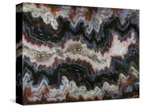 Agate in Colorful Design, Sammamish, WA-Darrell Gulin-Stretched Canvas