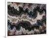 Agate in Colorful Design, Sammamish, WA-Darrell Gulin-Framed Photographic Print