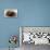 Agate Pearl with Ibbi-Sin King of Ur's Seal-null-Stretched Canvas displayed on a wall