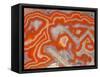 Agate sample-Walter Geiersperger-Framed Stretched Canvas